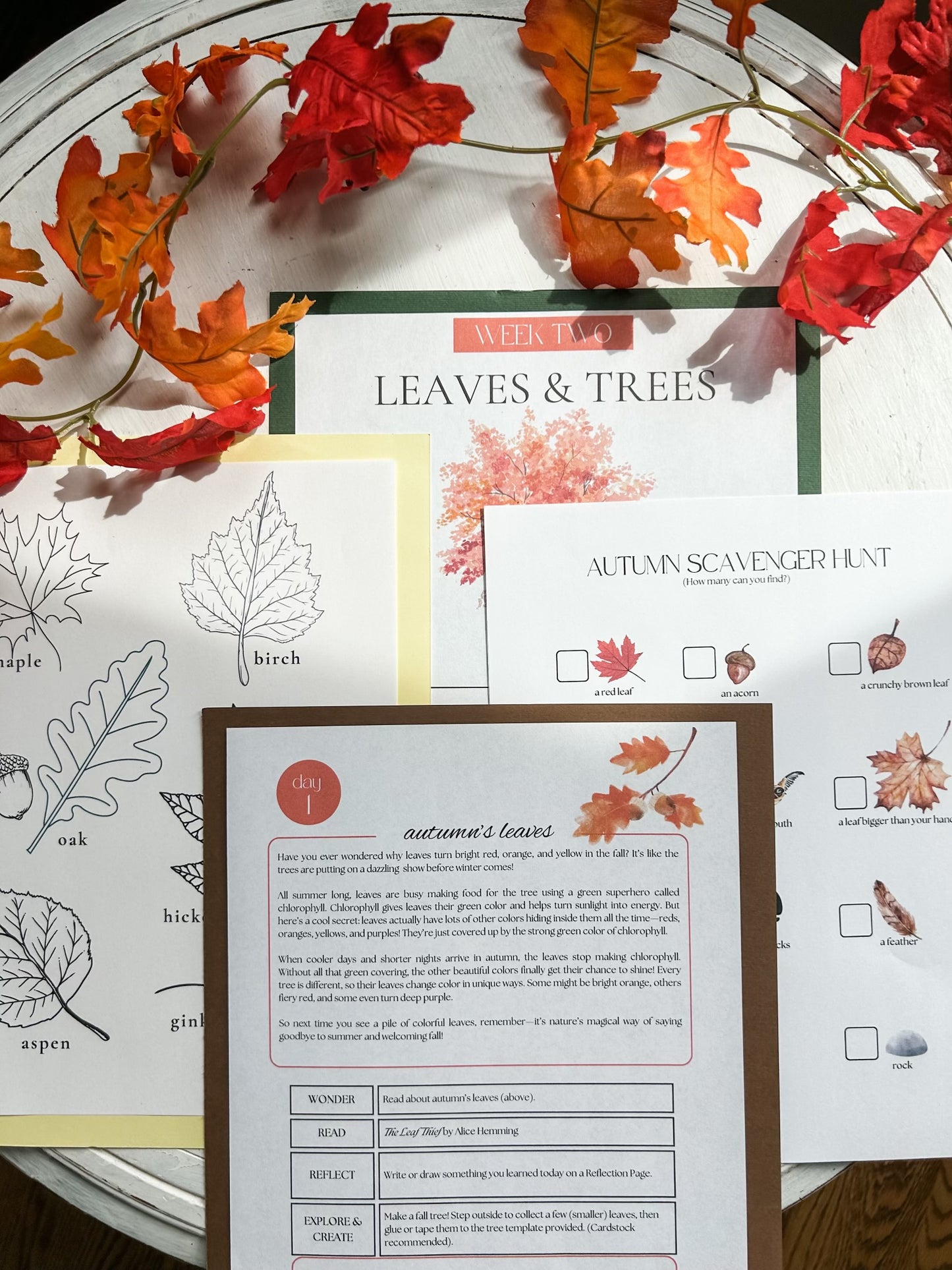 The Awe of Autumn