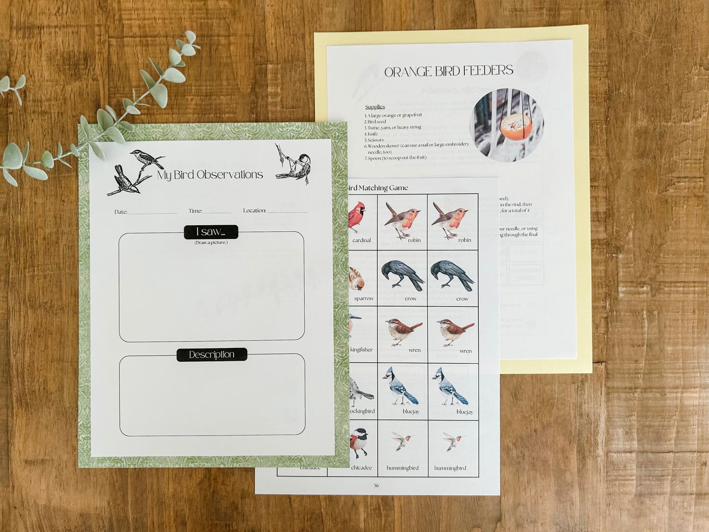 The Splendor of Spring