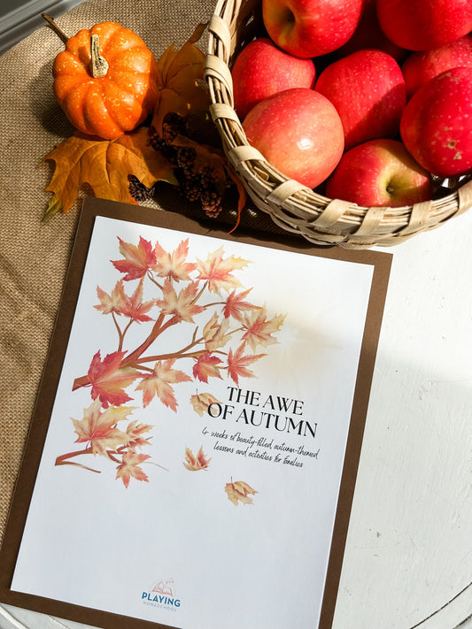 The Awe of Autumn