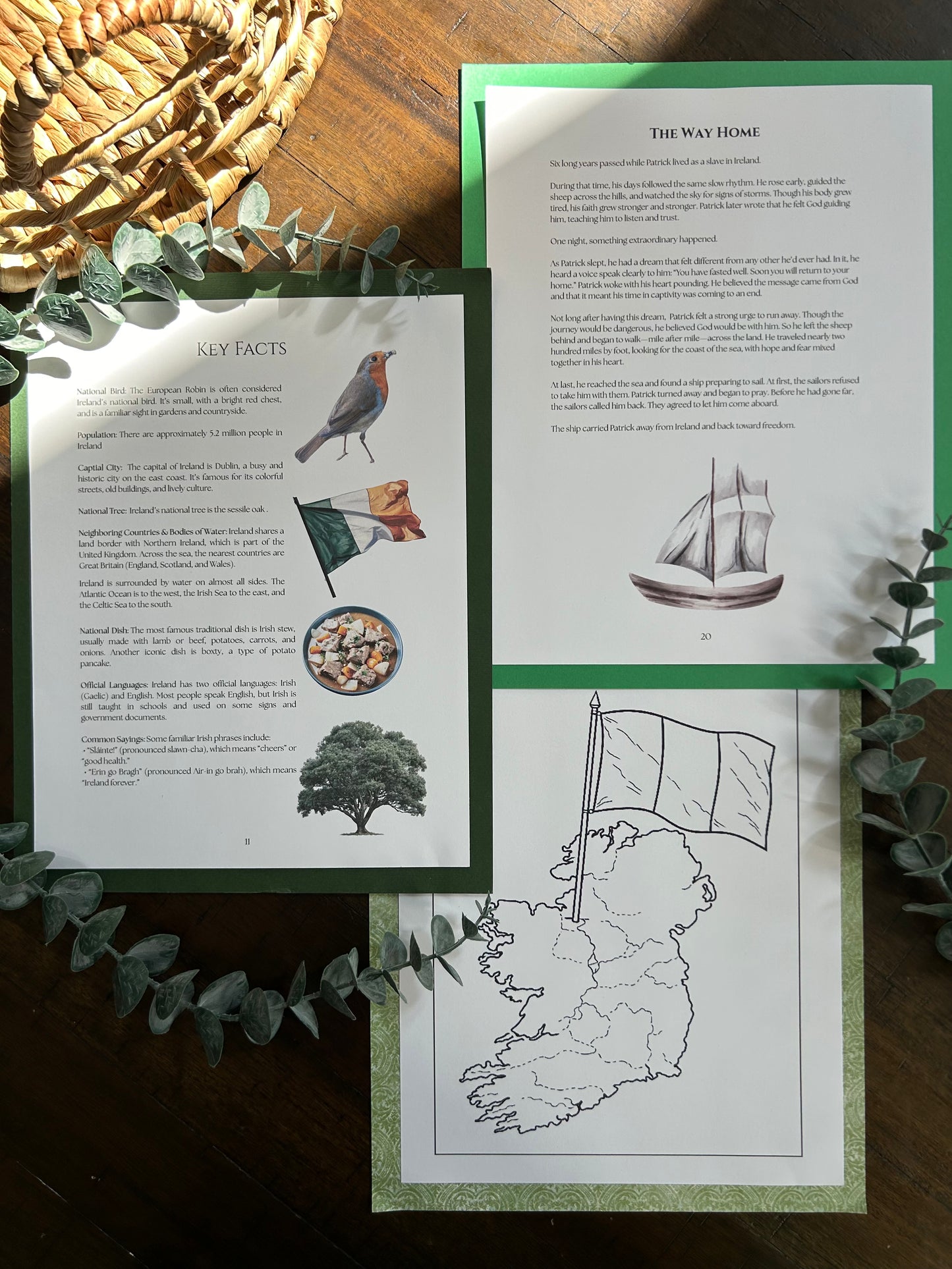 Saint Patrick's Day Guide