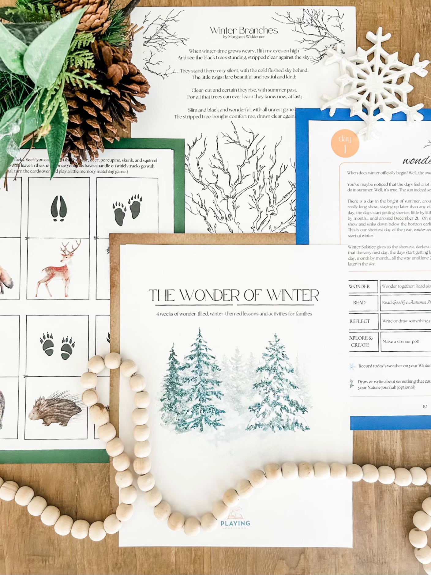 The Wonder of Winter