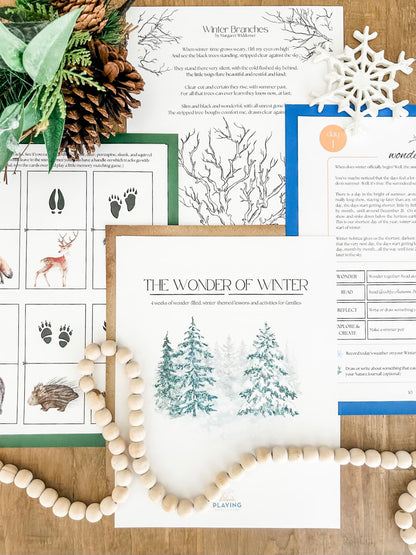 The Wonder of Winter