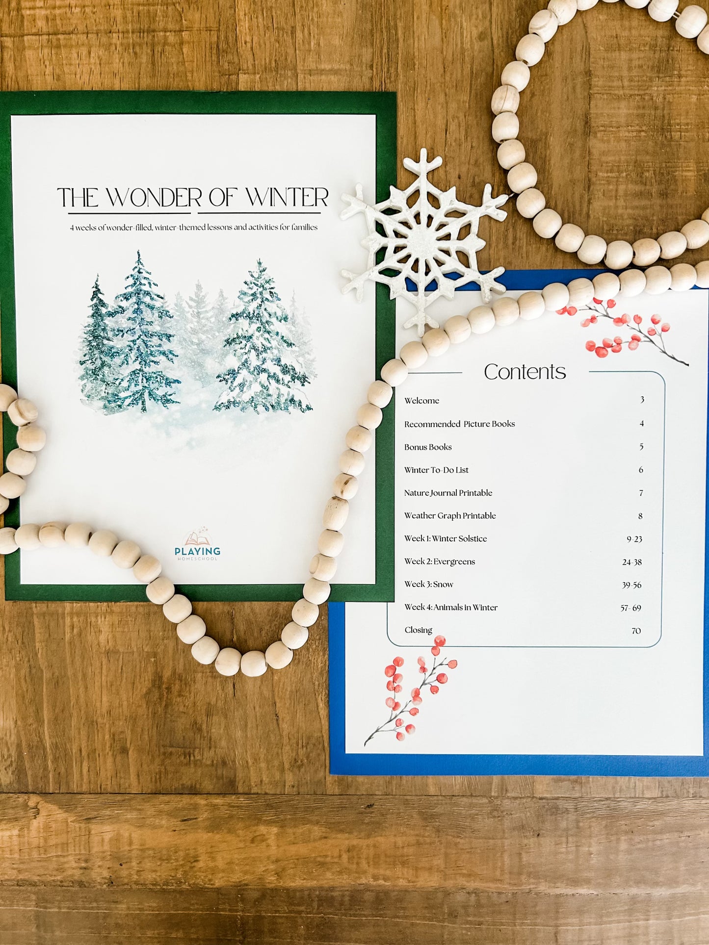 The Wonder of Winter