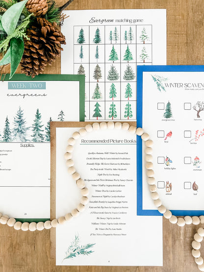 The Wonder of Winter