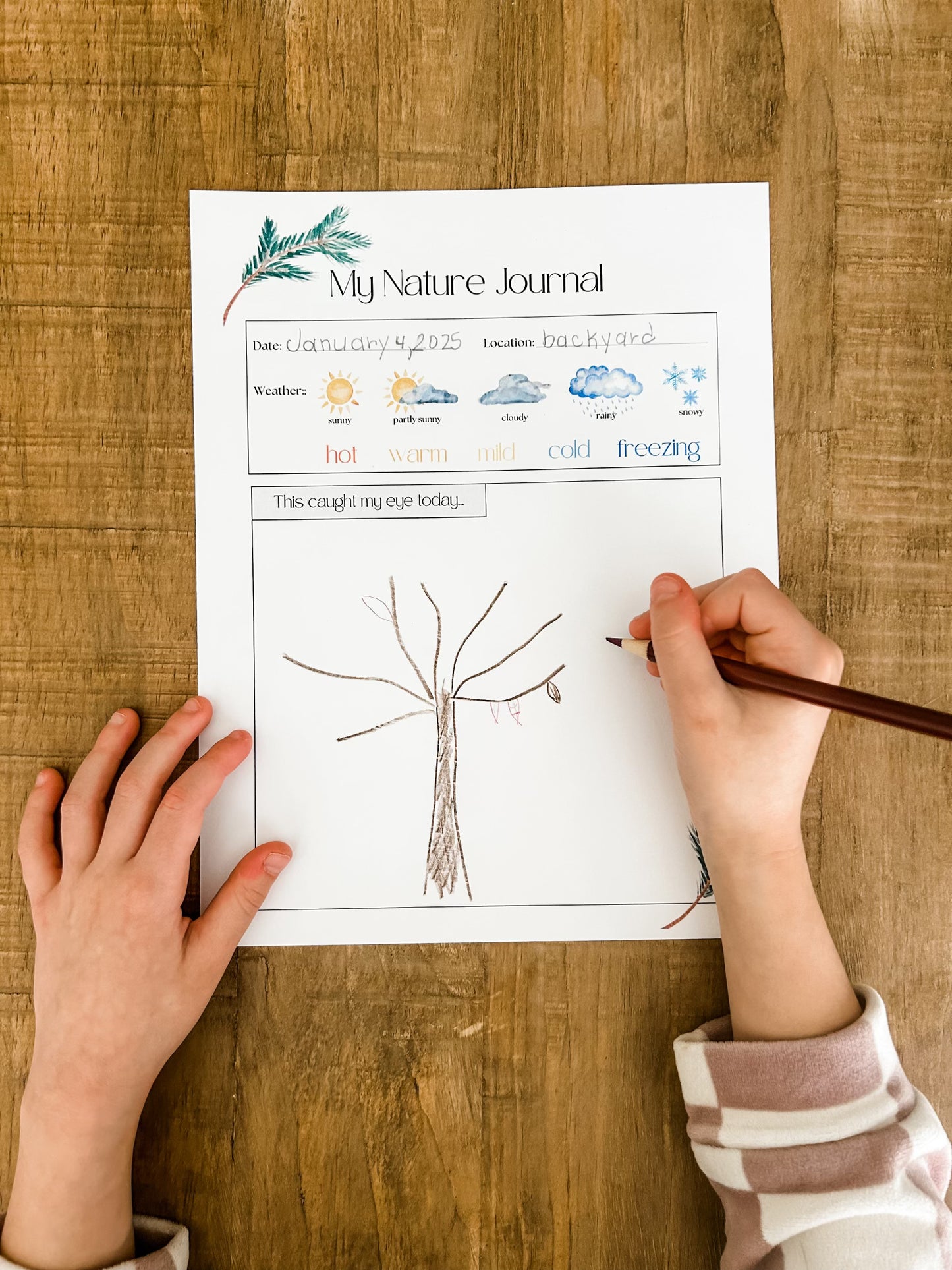 The Wonder of Winter